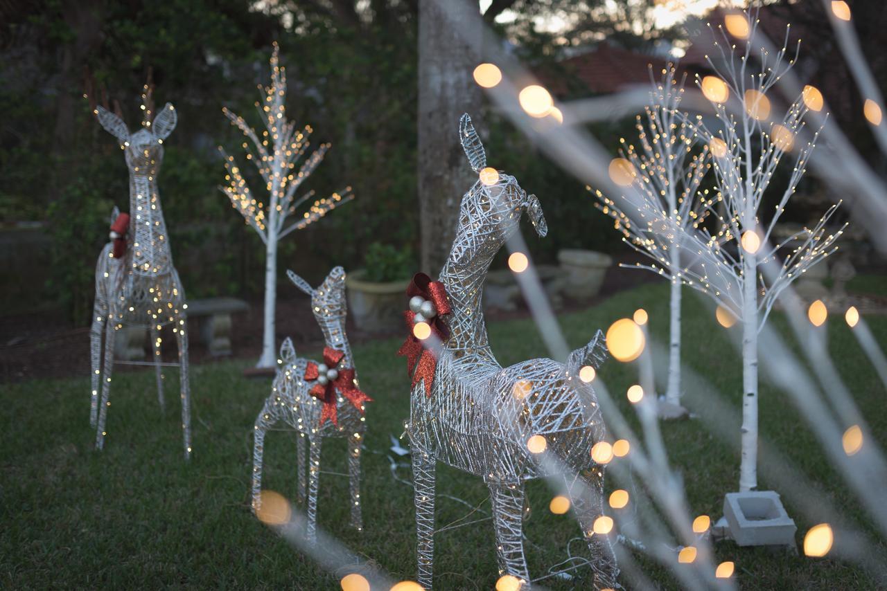 Bayfront Westcott House Bed & Breakfast St. Augustine Buitenkant foto